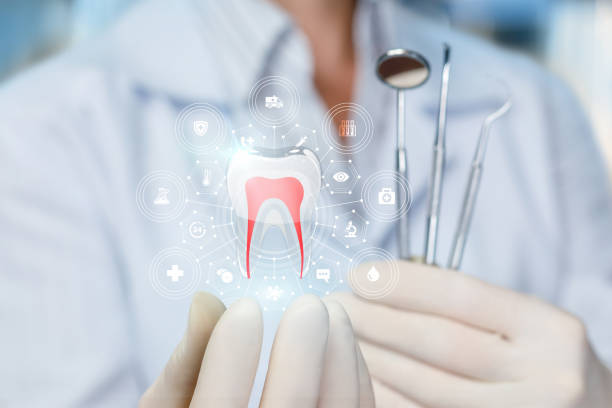 Best Root Canal Treatment  in Palmetto Bay, FL